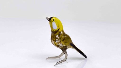 Loranto + Bruine vogel